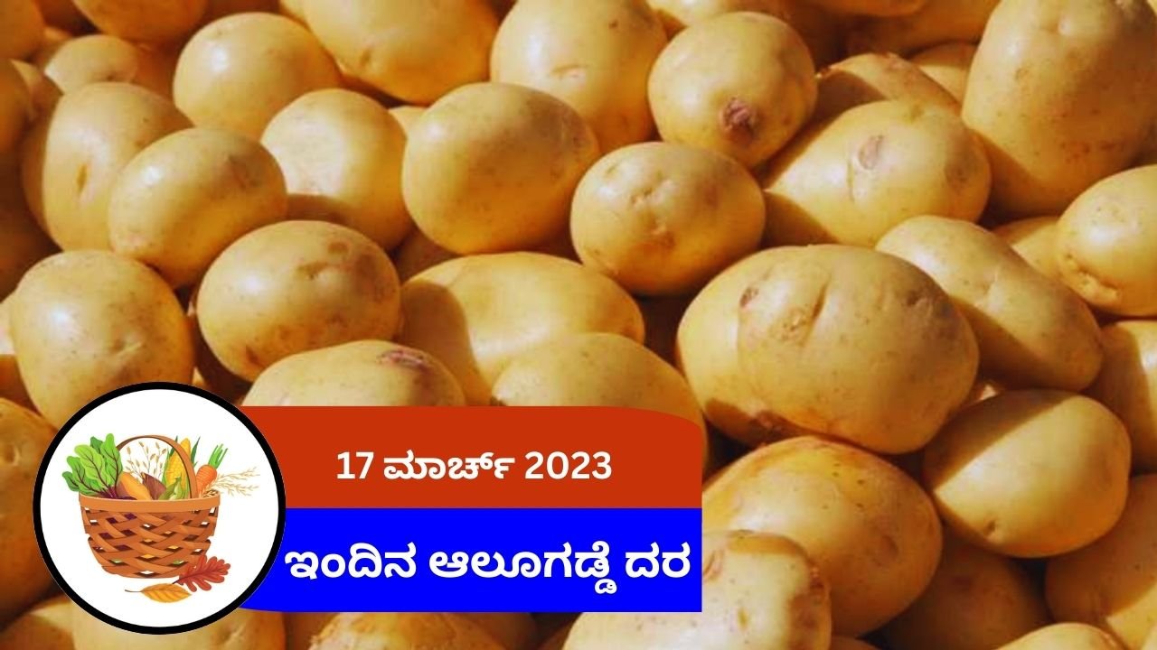 ಇಂದಿನ ಆಲೂಗಡ್ಡೆ ಮಾರುಕಟ್ಟೆ ದರ 17 ಮಾರ್ಚ್ 2024