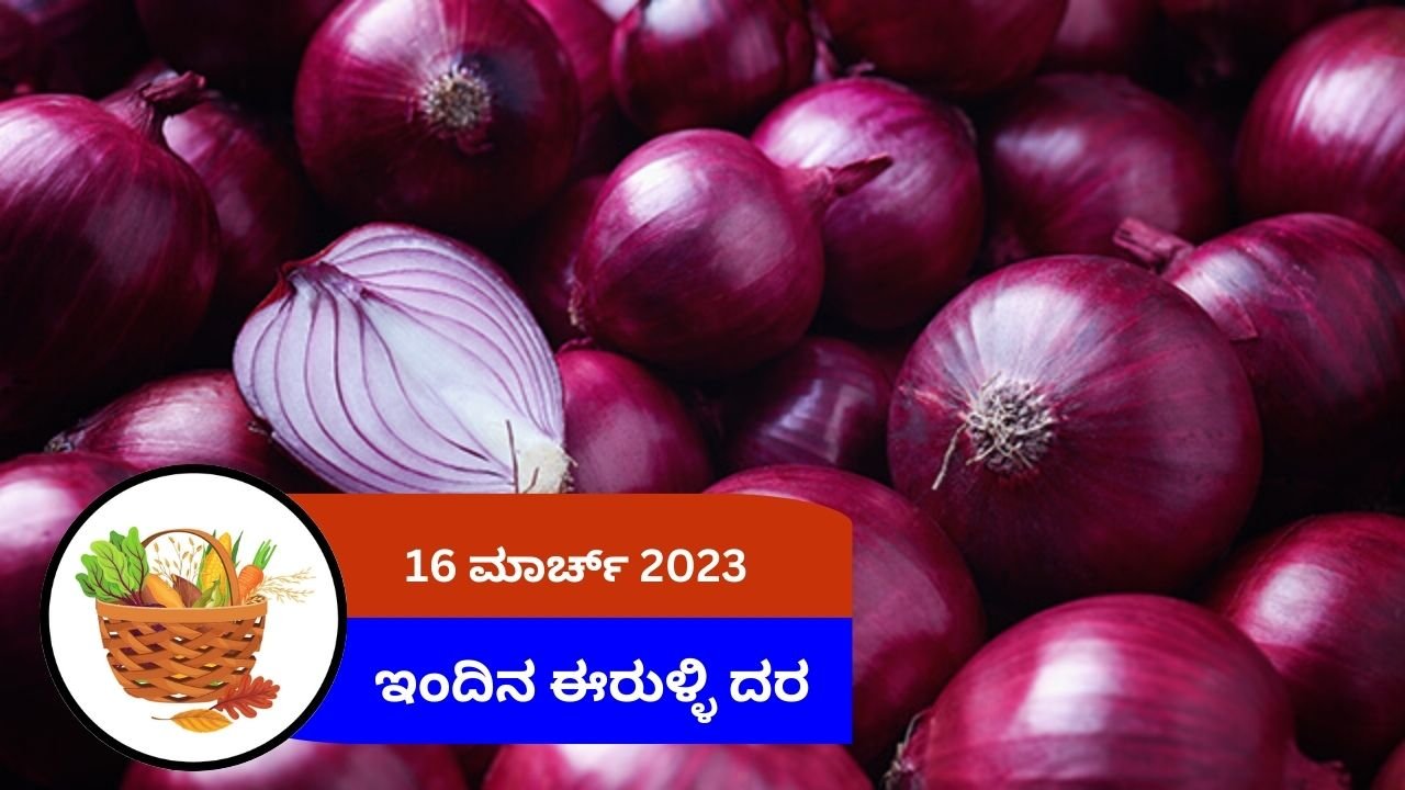 ಇಂದಿನ ಈರುಳ್ಳಿ ಮಾರುಕಟ್ಟೆ ದರ 16 ಮಾರ್ಚ್ 2024