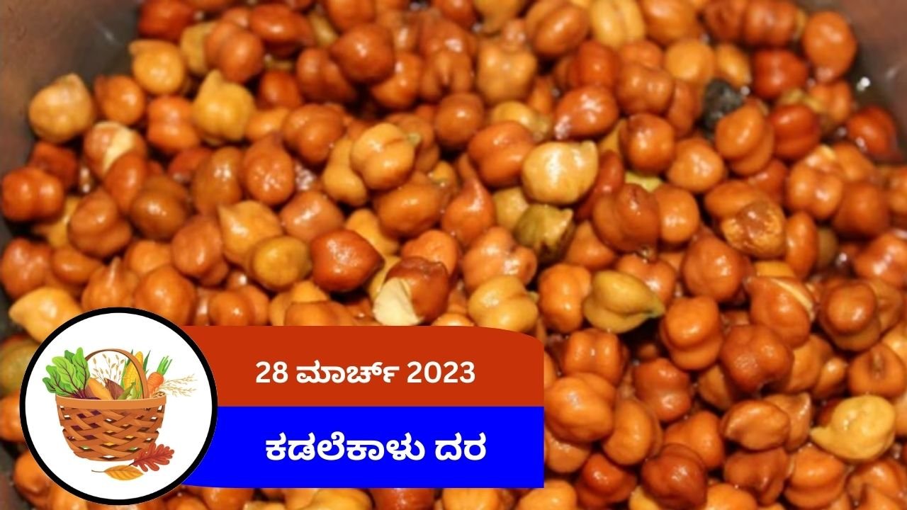 ಇಂದಿನ ಕಡಲೆಕಾಳು ಮಾರುಕಟ್ಟೆ ದರ 28 ಮಾರ್ಚ್ 2024