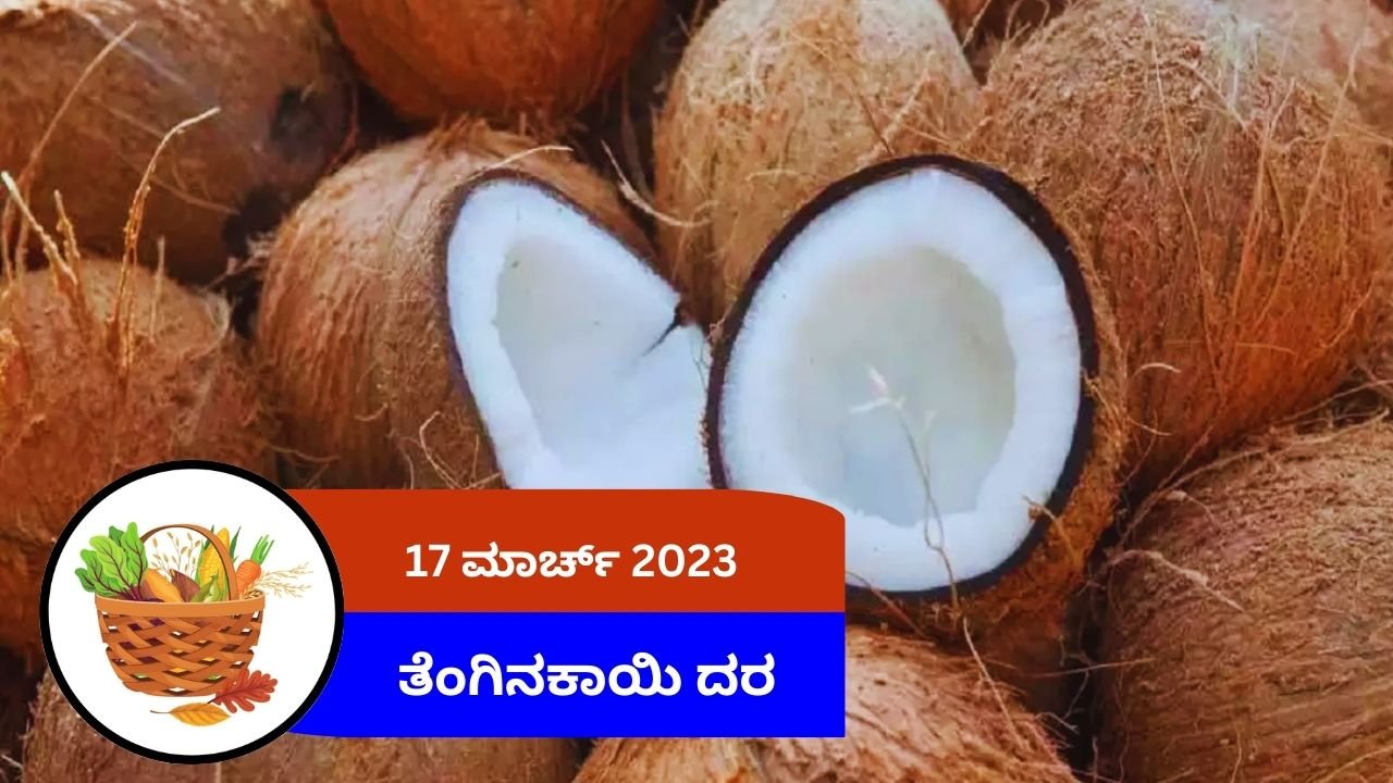 ಇಂದಿನ ತೆಂಗಿನಕಾಯಿ ಮಾರುಕಟ್ಟೆ ದರ 21 ಮಾರ್ಚ್ 2024