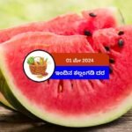 today-watermelon-market-rate-010-may-2024